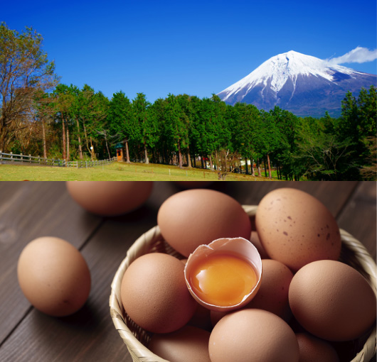 うまかハーブ鶏のイメージ